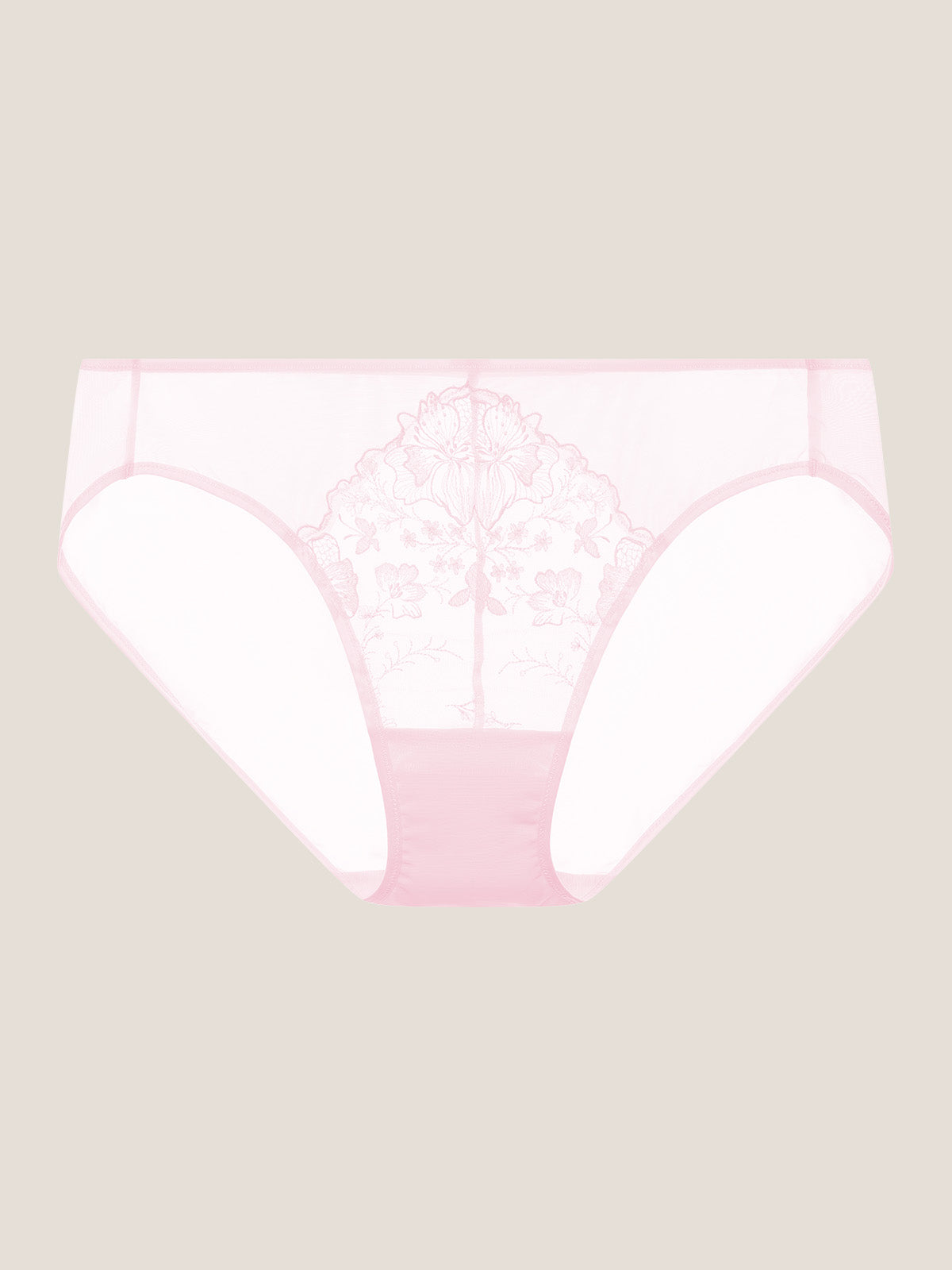 No-Show Lace Brief