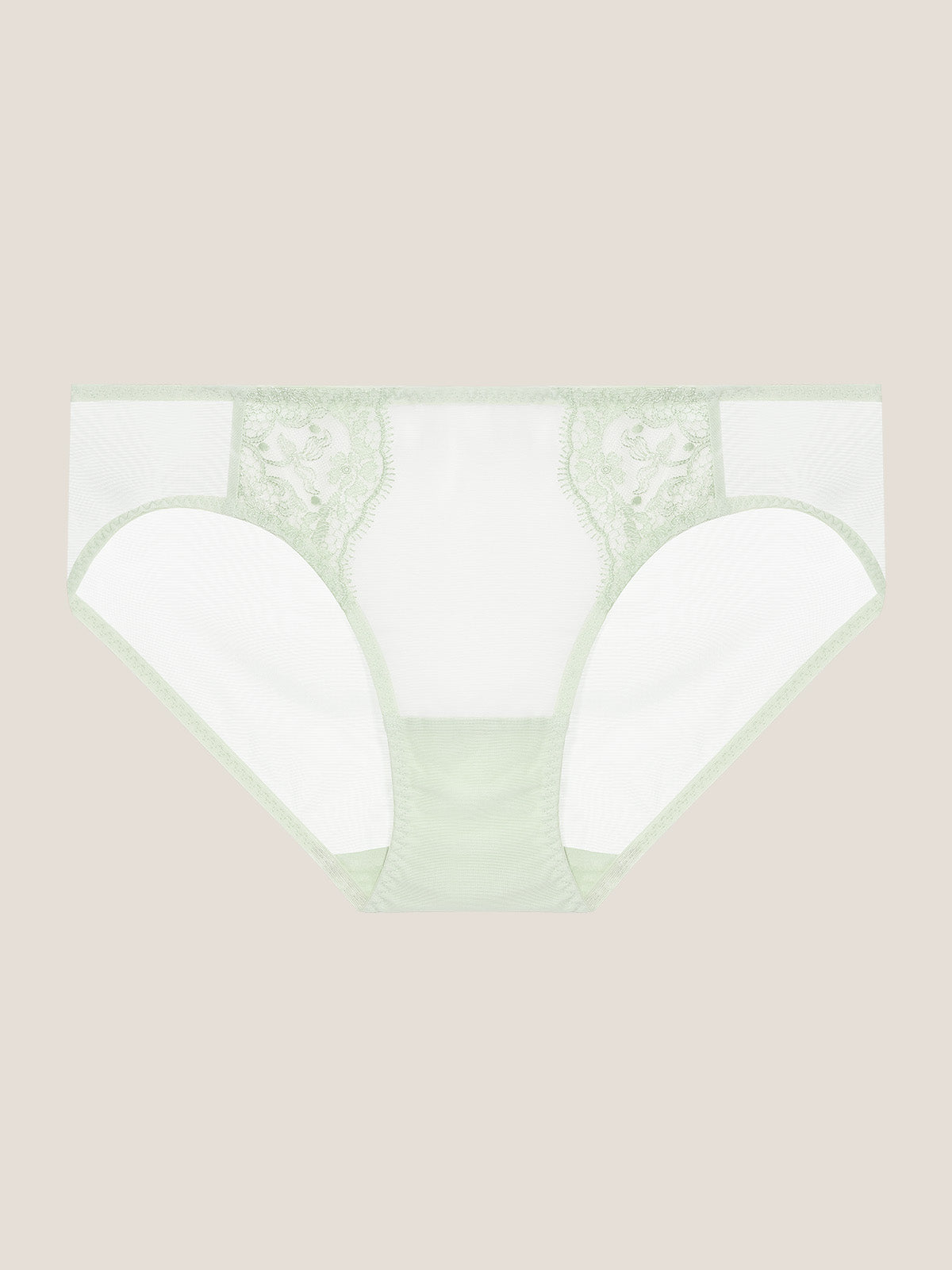 Simple Rococo Lace Brief