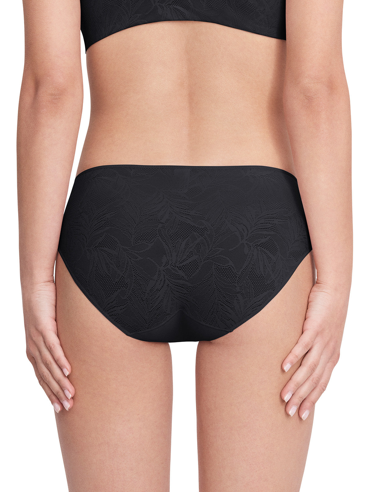 Vine Lace Mid-Waist Brief