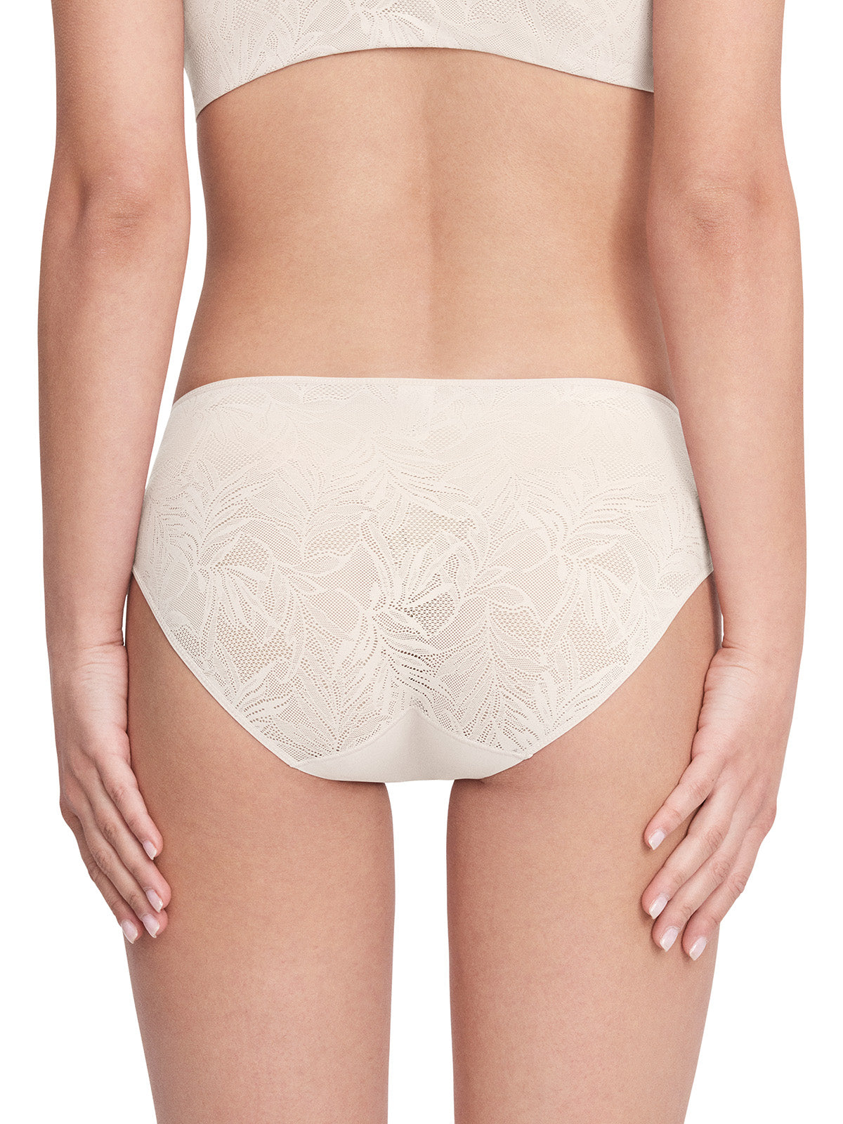 Vine Lace Mid-Waist Brief