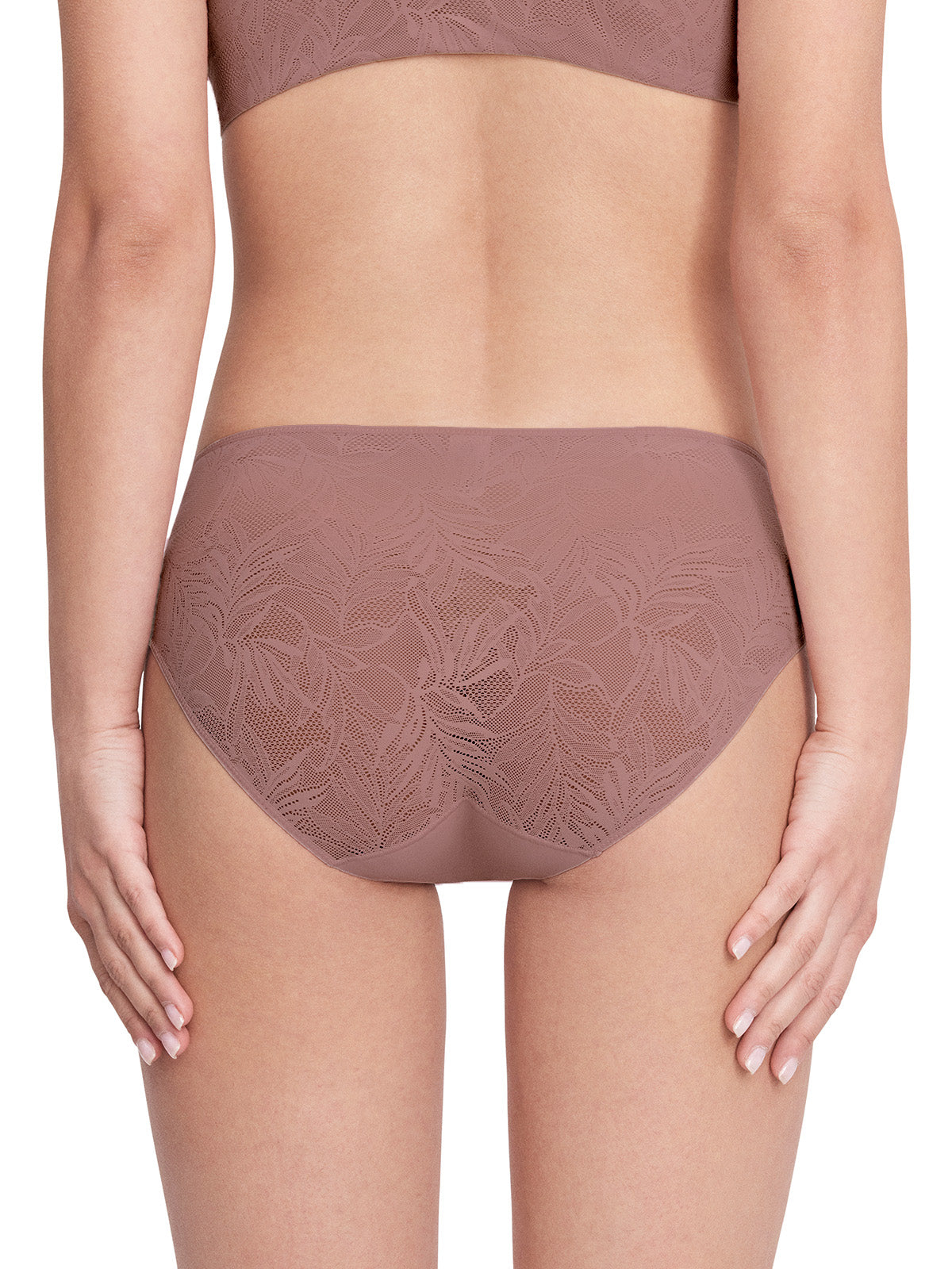 Vine Lace Mid-Waist Brief