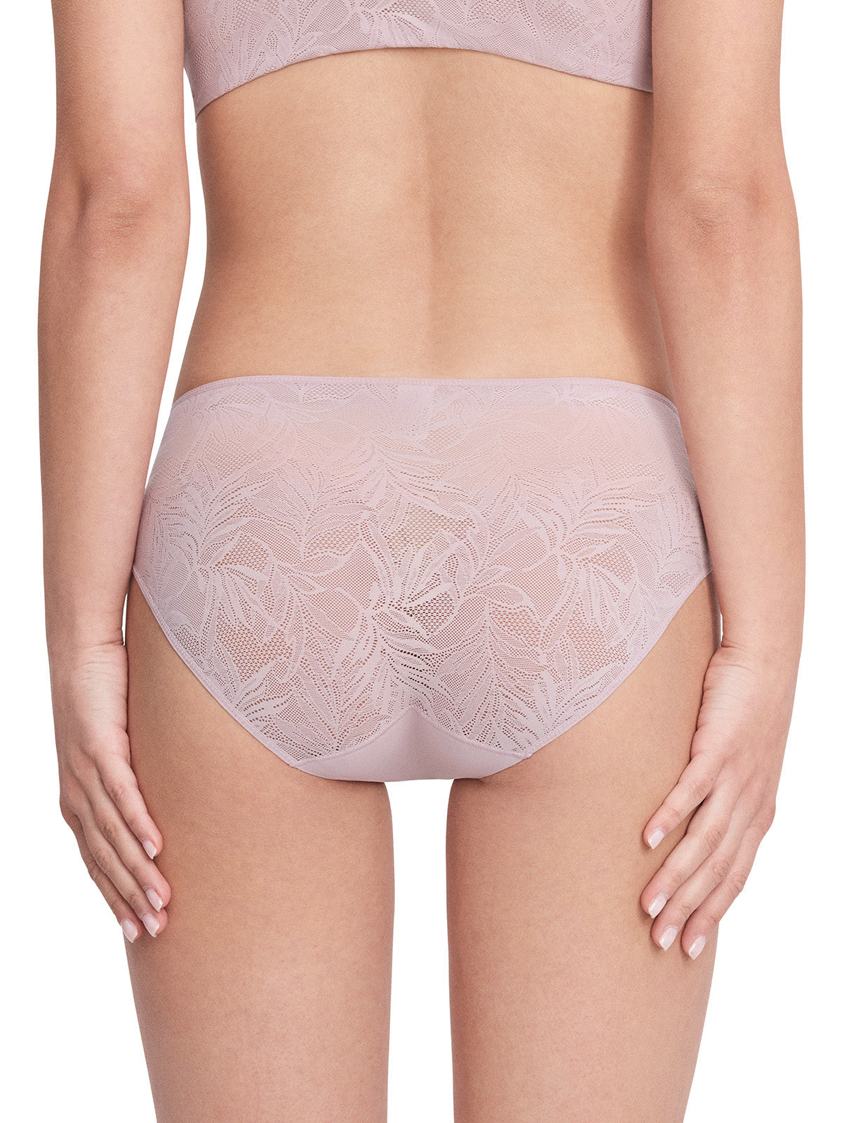 Vine Lace Mid-Waist Brief